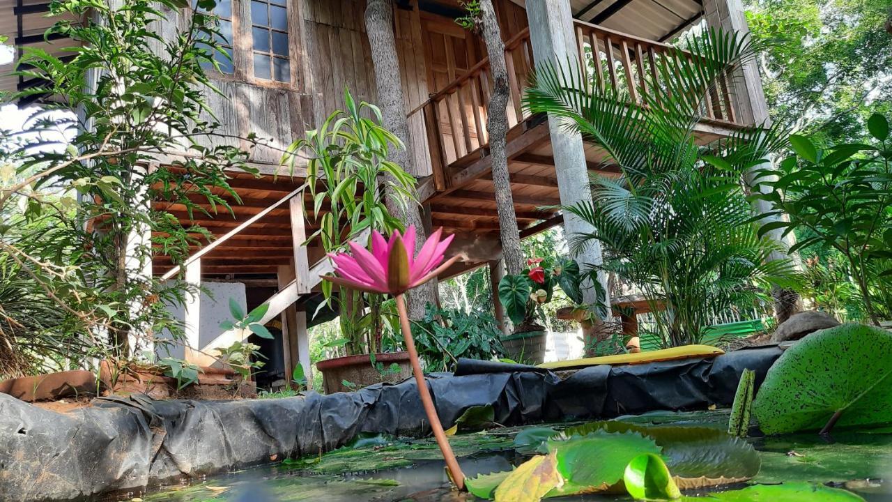 Ruk Sewana Villa Tree House Сигирия Экстерьер фото