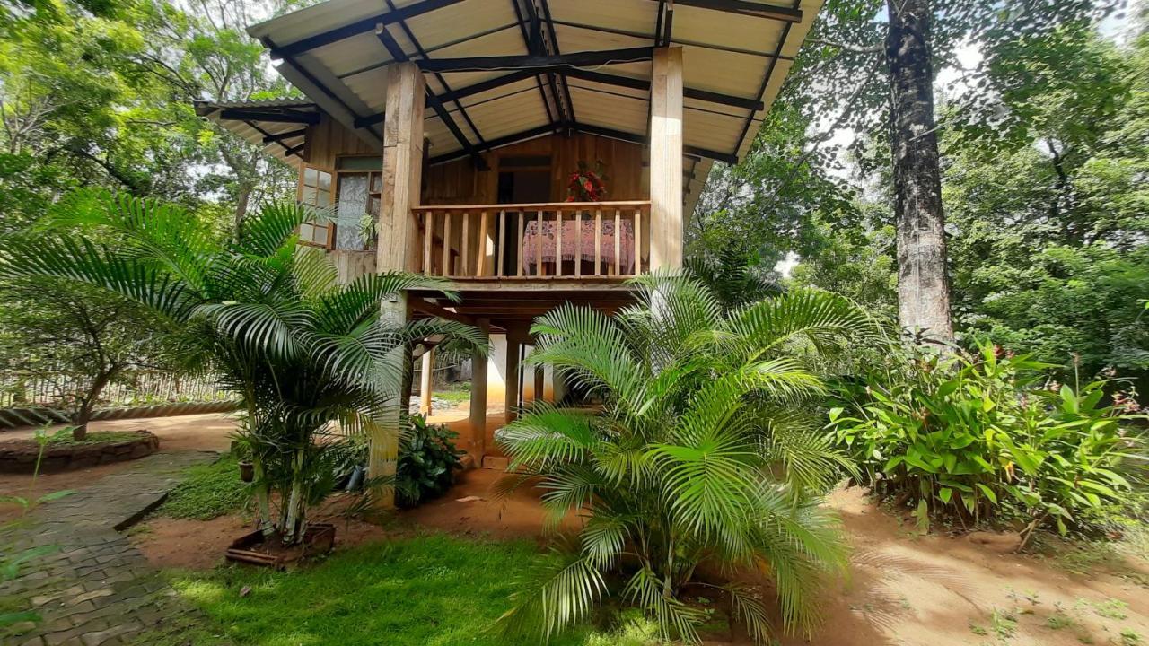 Ruk Sewana Villa Tree House Сигирия Экстерьер фото