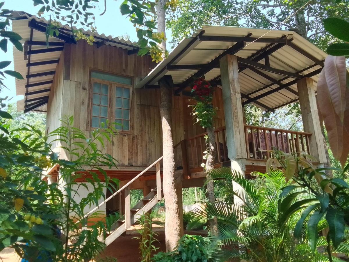 Ruk Sewana Villa Tree House Сигирия Экстерьер фото