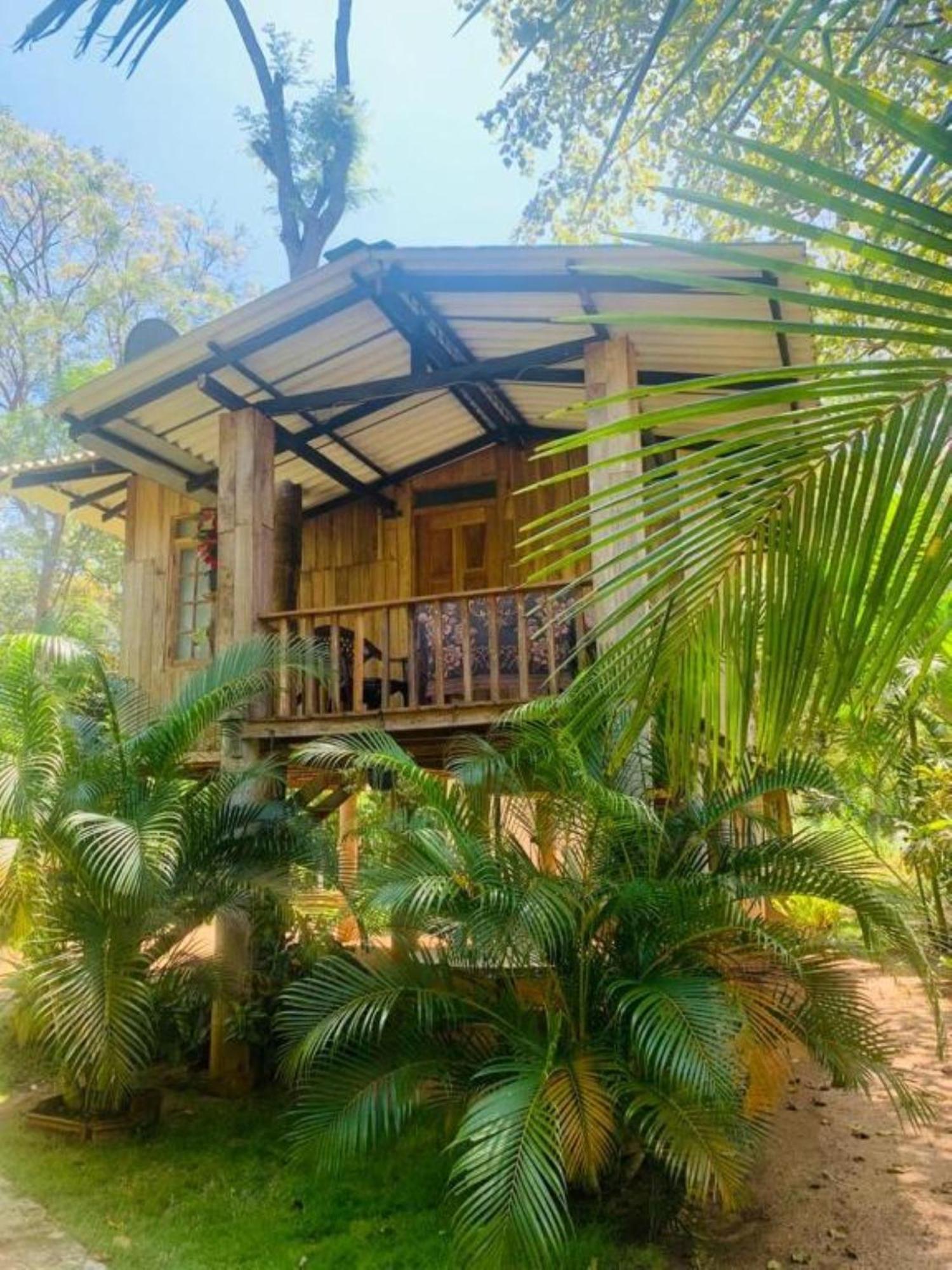 Ruk Sewana Villa Tree House Сигирия Экстерьер фото